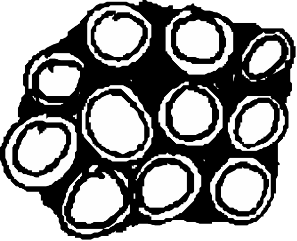 The black and white illustration shows a collection of ovals with varying sizes arranged together to form an abstract pattern that could be interpreted as fruit slices on display in what appears to be a store window.