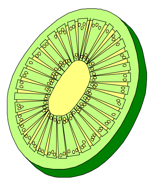 The image shows a cross section of an avocado with its seeds arranged around it on a dark background.