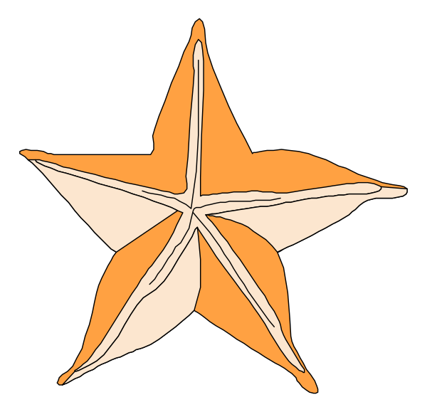 The image shows a simple orange star with five points against a black background.