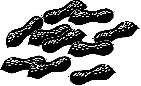 The black and white picture shows a collection of donuts with various toppings on them displayed against a dark background.