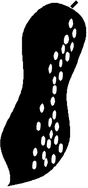 The image shows a black and white illustration of an ear with spots on it against a gray background.