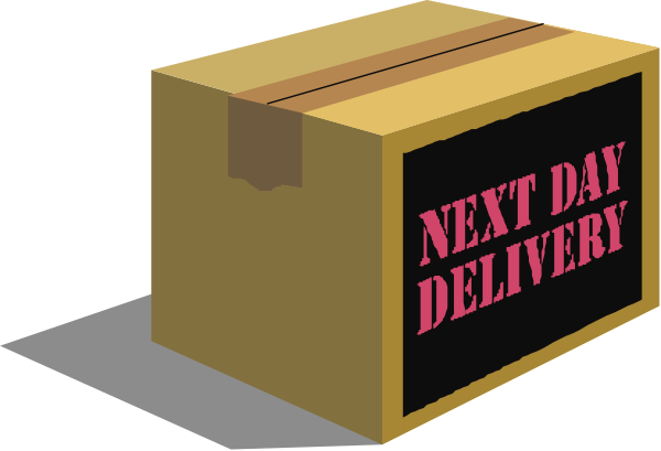 The image shows a brown cardboard box with "NEXT DAY" written on it inside another larger open box labeled as an Amazon delivery package in front of what appears to be a building facade.