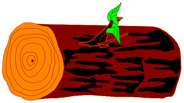 The image shows a cartoon of two logs with an orange glow at their ends on either side of what appears to be a small creature resembling a dragonfly in between them; there is no text present, and it's set against a plain background that doesn't provide any additional context.
