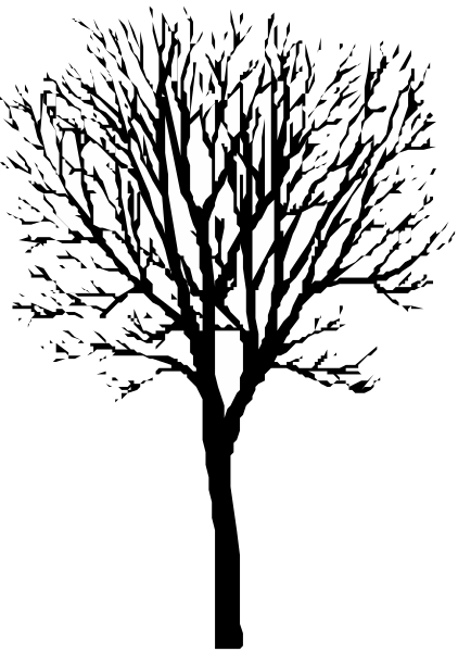 The black and white photo shows a tree with its branches spread out against an indistinct background.