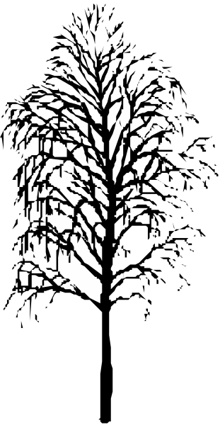 The black and white photo shows a tree with branches against an indistinct background that appears to be darker than the rest of the image due to its positioning within the frame.