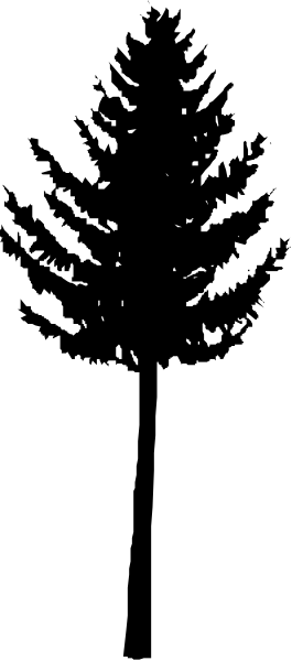 The image shows a black and white photo of an object with multiple holes on it against a dark background.