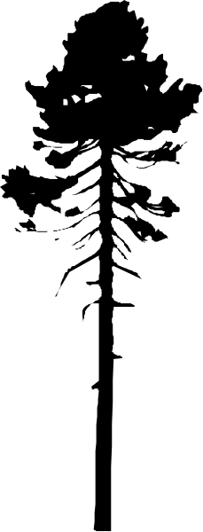 The image shows a black and white photo of an object with multiple parts that appear to be connected together but do not form any recognizable shape; it's difficult to determine what exactly is shown due to its abstract nature, which includes various shapes within one frame without clear context or setting.