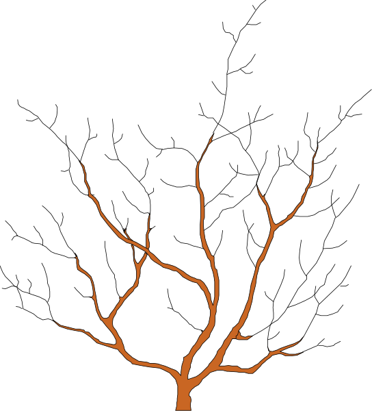 The image shows a black background with an orange tree branch on it against white lines that create a grid pattern across the entire frame of the picture.