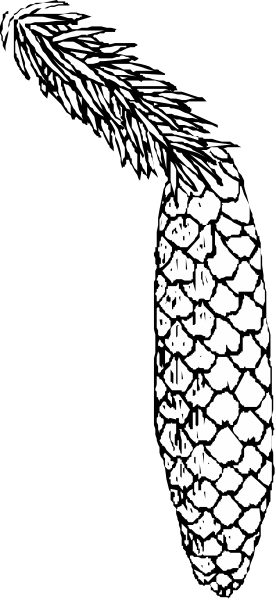 The image shows a pineapple with leaves on it against a black background.