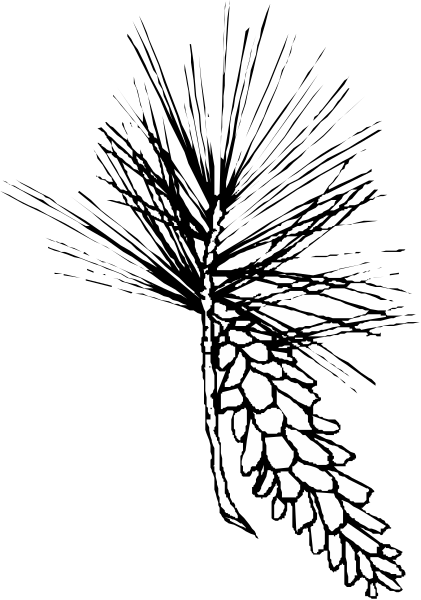 The black and white photo shows a stylized leaf design with jagged edges on what appears to be an abstract background.