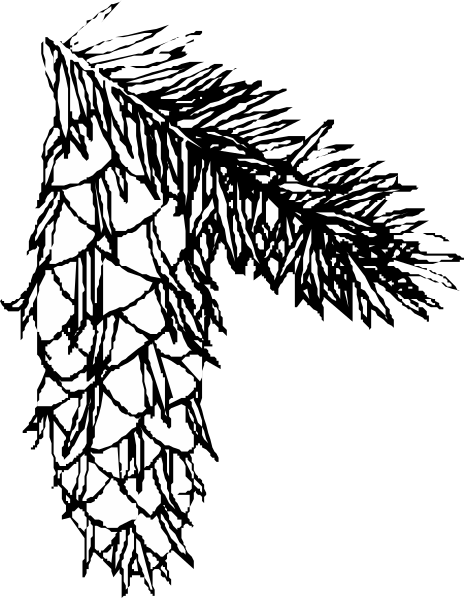 The black and white illustration shows a pine cone with feathers attached to it hanging from what appears to be an unseen object above it on top of another similar item that is partially visible at its base.