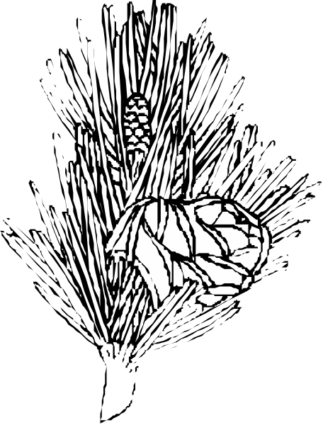 The black and white illustration shows a stylized depiction of an animal with sharp teeth surrounded by what appears to be thorny plants on either side.