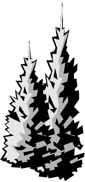 The black and white photo shows a tree with its branches extending outward from what appears to be an unseen trunk at the bottom of the image.