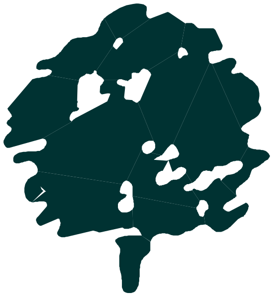 The image shows a dark green silhouette of an evergreen tree with lighter shades indicating its branches against a black background on the left side; to the right is another smaller graphic that appears to be a stylized representation, possibly suggesting water droplets or rainfall due to their shape and color variation.