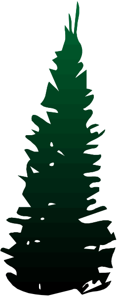 The image shows a tall green pine tree with white spots on it against a dark background that has black lines creating an abstract pattern resembling trees in silhouette form.
