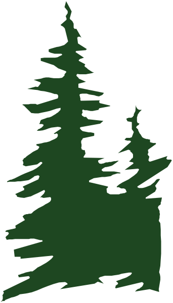 The image shows a black and white silhouette of an evergreen tree against a dark background with two distinct shades representing nighttime sky above it.