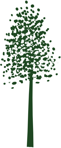 The image shows a tall green pine tree on its side against a dark background with white speckles resembling snowflakes in front of it.