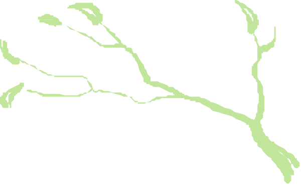 The image shows a black silhouette of tree branches with green leaves against a dark background on what appears to be an electronic device screen displaying this graphic as part of its interface design.