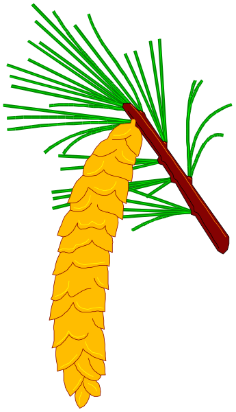 The image shows a pine cone with an orange stick on top of it against a black background.