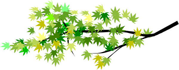 The image shows a collection of leaves with different shapes scattered across it against a dark background.