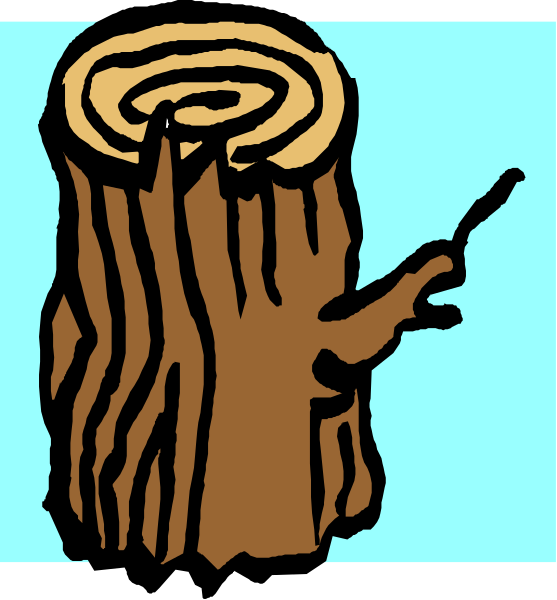 The image shows a cartoon of two trees with different textures; on top is an evergreen tree that looks like it's made out of wood chips, while below it appears to be a real pine tree.