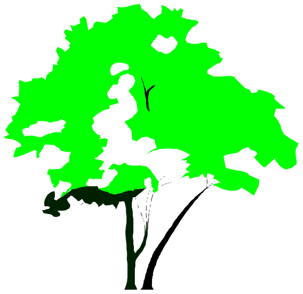The image shows a tree with green leaves against a black background.