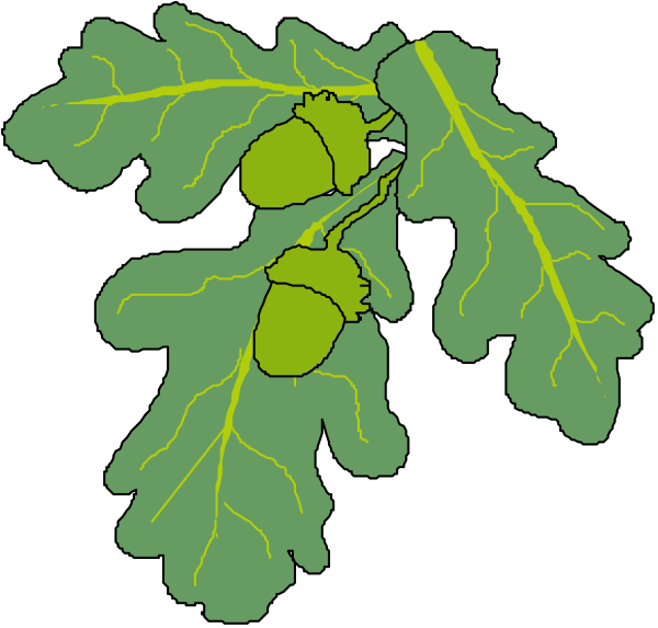 The image shows a closeup of two green leaves with yellow veins on them against a black background.