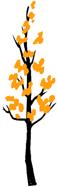 The image shows a gray background with an orange pattern on it that resembles leaves falling from trees against a black border at bottom right corner of photo.