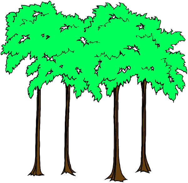 The image shows a black background with three tall trees on it that have green leaves at their tops but no visible trunks; there is also an array of smaller birds flying around them in various positions within this tree-filled space, suggesting movement and life among these treetops against the dark backdrop.