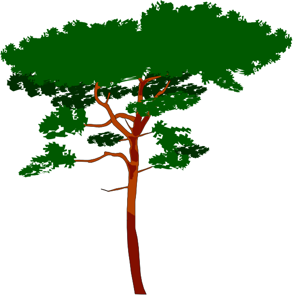The image shows two identical tree trunks with a single branch sprouting from each at different heights against a black background.