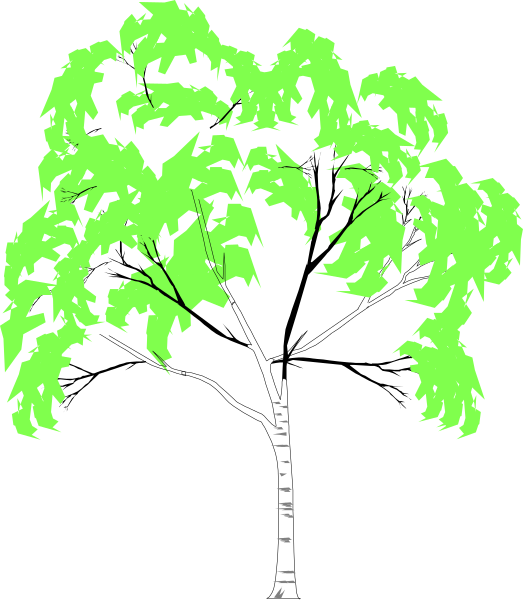 The image shows a single tree with green leaves against a black background.