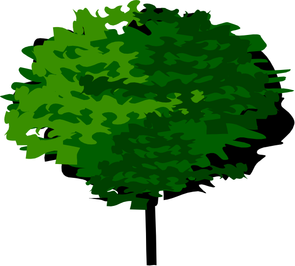 The image shows two green trees against a black background with no other discernible elements present.