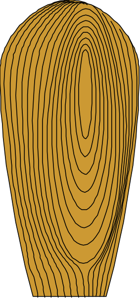 The image shows a cross section of tree rings with concentric circles representing growth over time against a gray background.