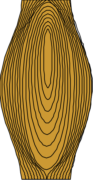 The image shows a stylized tree with concentric rings against a dark background on its left side.