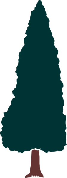 The picture shows a tall green Christmas tree with red base on top of it against a white background.