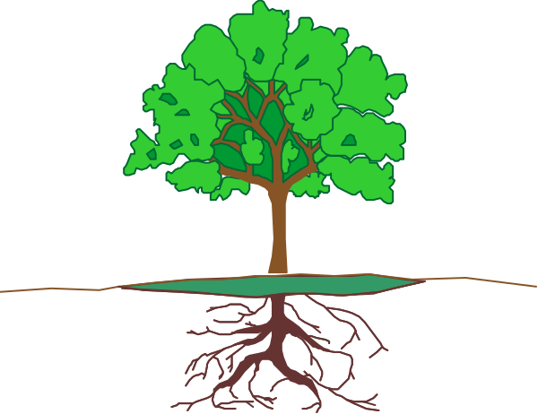 The image shows a tree with roots growing out of water on top of soil against an evening sky background.