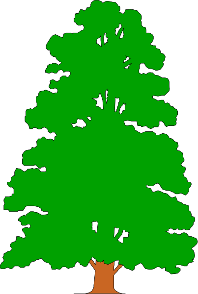 The image shows a simple line drawing of an evergreen tree with branches extending outward from its trunk to form foliage atop each branch.