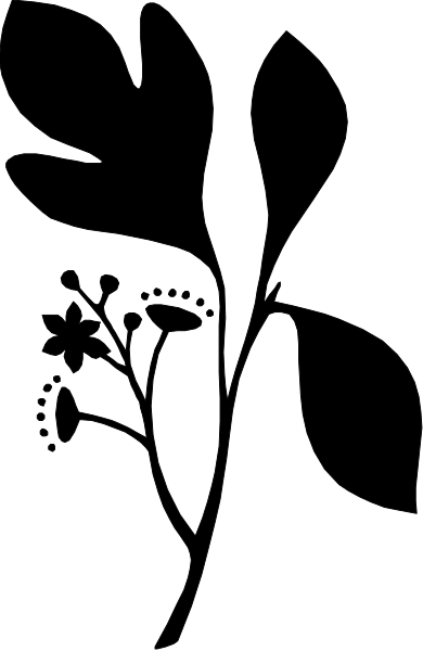 The image shows a black and white striped pattern with no distinguishable content within it.