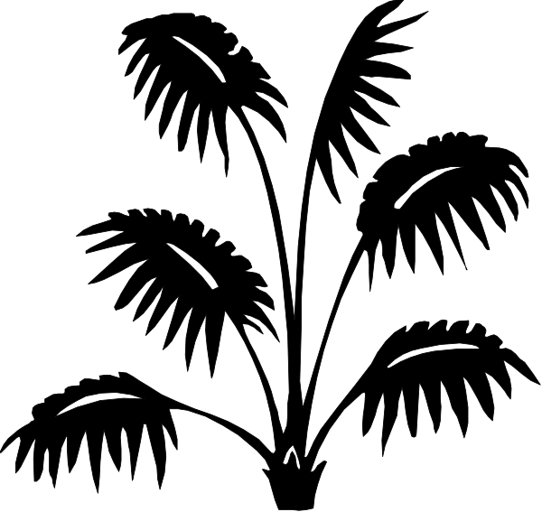 The black silhouette of a cat with its eyes closed against an equally dark background.