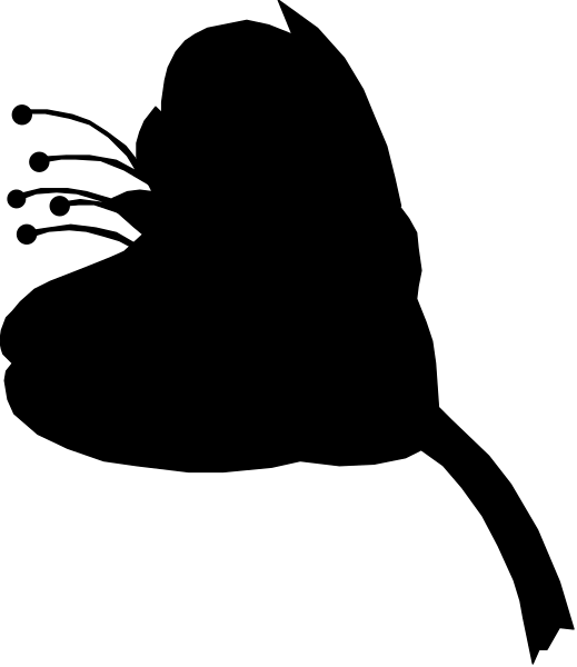 The image shows a black and white striped pattern with no discernible content within it.