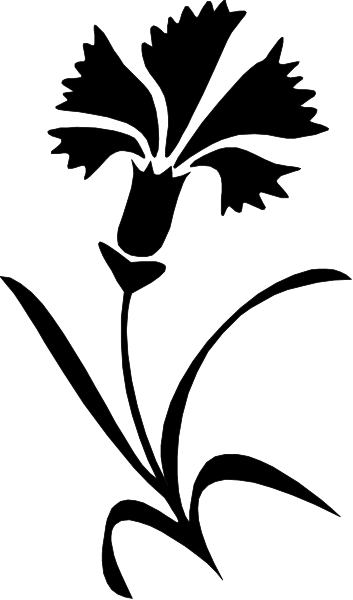 The image shows a black and white striped pattern with no distinguishable content to identify any particular object, person, animal, action, or setting within it.