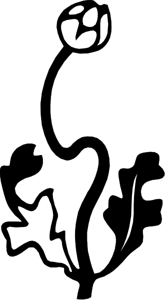 The black strip shows a person's face from behind with their hair pulled back into an updo; it is cropped at mid-face level in this image.