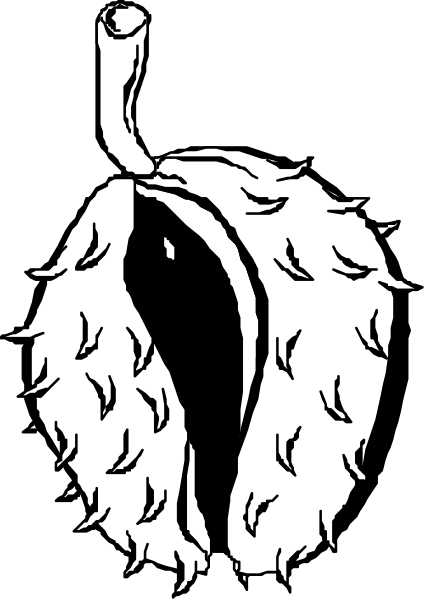 The black and white illustration shows a banana with an open top revealing its seeds inside, resembling a flower bud atop it.