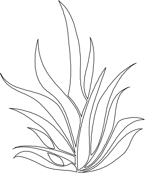 The image shows a black square with white lines creating an abstract pattern against a gray background.