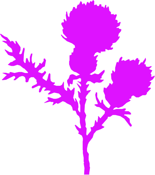 The image shows a purple flower with green leaves against a black background on an electronic device screen displaying a digital representation of flowers in full bloom.