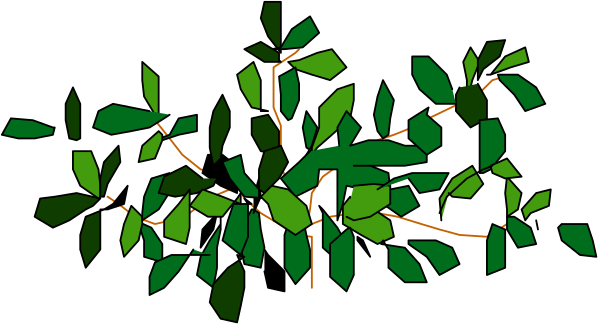 The image shows a simple black and white illustration of tree branches with green leaves against an orange background.