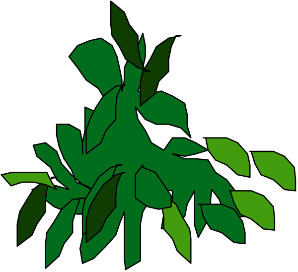 The image shows a green plant with leaves against a black background.