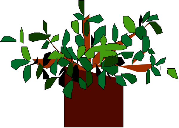 The image shows a potted plant with green leaves against a dark background.
