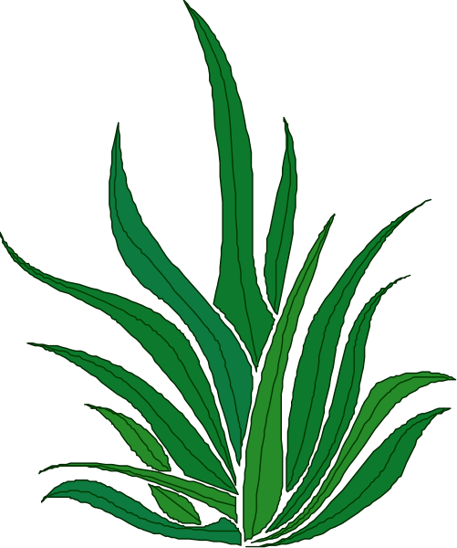The image shows a stylized illustration of green leaves on top with an abstract background that transitions from black to gray at the bottom left corner.