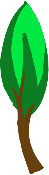 The image shows a simple line drawing of an evergreen tree with green needles on its branches against a gray background.